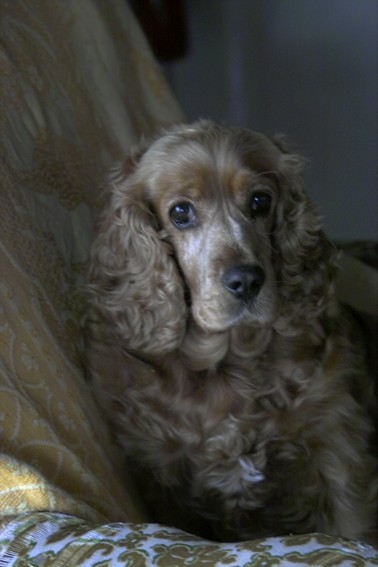 lola